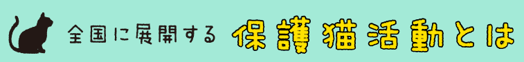 保護猫活動とは