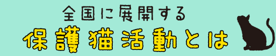 保護猫活動とは