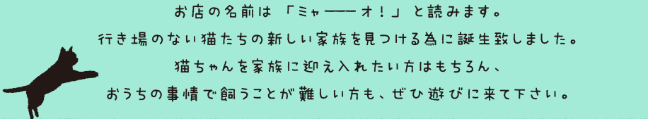 お店の名前は「ミャーーーオ！」と読みます。
行き場のない猫たちの新しい家族を見つける為に誕生致しました。
猫ちゃんを家族に迎え入れたい方はもちろん、
おうちの事情で飼うことが難しい方も、ぜひ遊びに来て下さい。