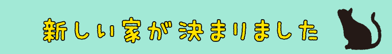 新しい家が決まりました