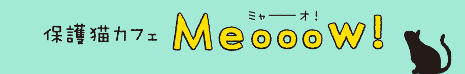 保護猫カフェ　Meooow!　（ミャーーーーオ！）